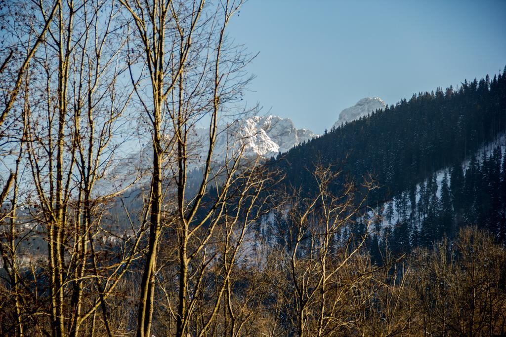 Dolina Resort Zakopane Kościelisko Rom bilde